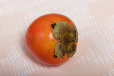 Kurumuş kuyruklu hurma. Bej bir yüzeyde yatıyor. Yakın çekim..