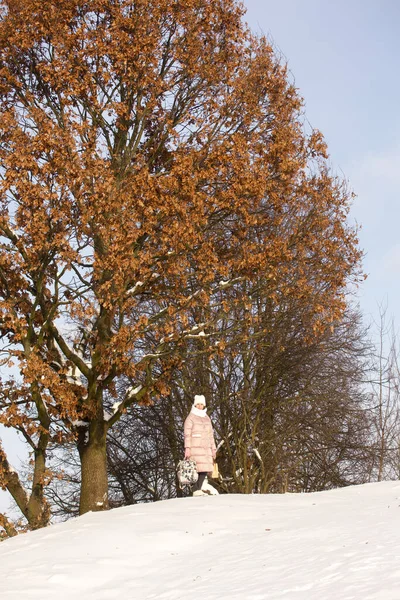 Femme Vêtements Hiver Lors Une Promenade Dans Parc Beaucoup Neige — Photo