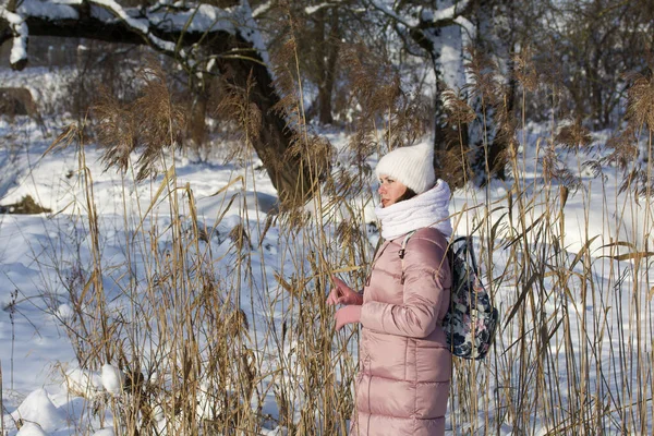 Жінка Зимовому Одязі Прогулянці Парку Піднімається Серед Високої Сушеної Трави — стокове фото