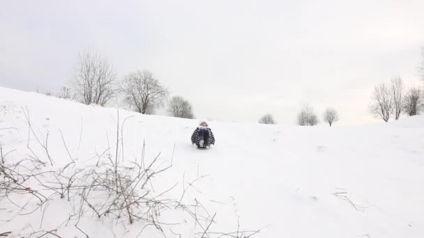La chica se sienta en un trineo y se desliza por una colina nevada — Vídeos de Stock