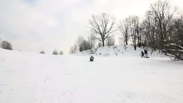 Dziewczyna wspina się na pokryte śniegiem wzgórze, siada na saniach i zjeżdża w dół na dół wzgórza. Pies przebiega obok.. — Wideo stockowe