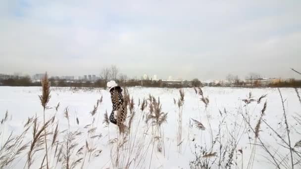 Het meisje loopt door de winterwoestenij. Wandelingen in diepe sneeuw. Tussen het hoge, gedroogde gras. — Stockvideo