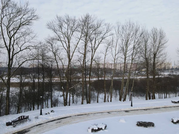 Urbane Winterlandschaft Von Oben Parkhäuser Und Bäume Stadtpark Sind Sichtbar — Stockfoto