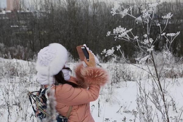 Дівчина Прогулянці Зимовому Парку Фотографії Рослин Покритих Морозом Снігом — стокове фото