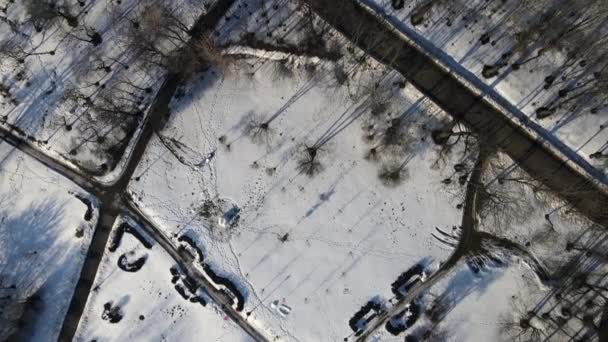 Πτήση πάνω από το πάρκο. Η κάμερα κατευθύνεται προς τα κάτω. Τα ίχνη που καθαρίζονται από χιόνι είναι ορατά — Αρχείο Βίντεο