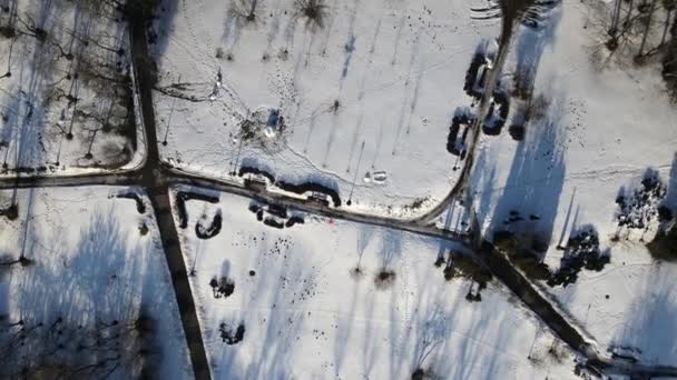 Voo sobre o parque de inverno. A câmera é direcionada para baixo. Faixas limpas de neve são visíveis. — Vídeo de Stock