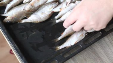 Nehir balığı sıra sıra fırın tepsisinin üzerinde yatıyor. Adam fırındaki bir fırın tepsisine koyuyor. Yakın çekim...