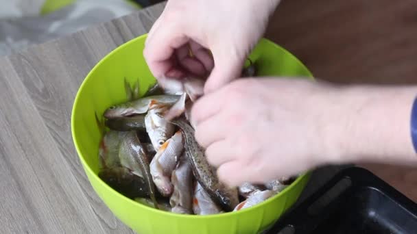 Le poisson de rivière est dans un conteneur. L'homme le met en rangée sur une plaque à pâtisserie. Pour la cuisson au four. Gros plan. — Video