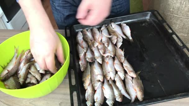 L'uomo mette il pesce di fiume su una teglia da forno. Lo mette in fila. Per la cottura in forno. — Video Stock
