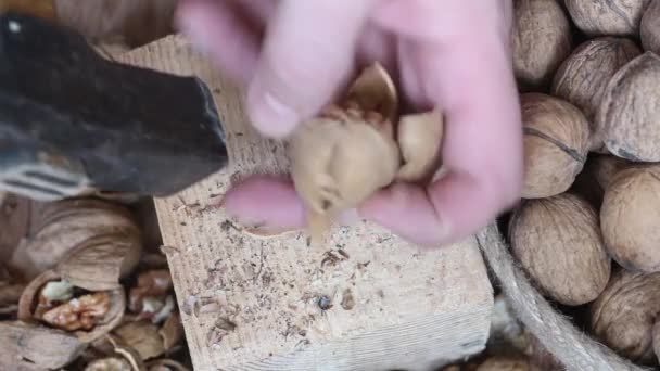 El hombre está rompiendo nueces. Golpea con un martillo en un bloque de madera. Primer plano desde arriba. — Vídeos de Stock