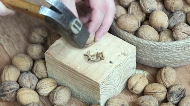 Il craque des noix. Battre avec un marteau sur un bloc de bois. Gros plan. — Video