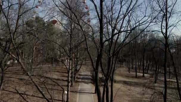 Voler Dans Parc Printemps Long Des Arbres Pas Feuilles — Video