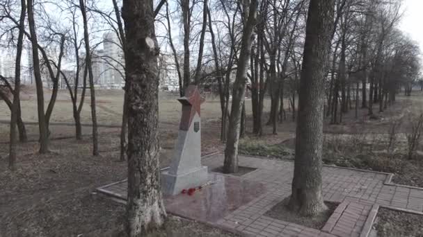 Túmulo Soldado Desconhecido Durante Segunda Guerra Mundial Monumento Soldado Caído — Vídeo de Stock