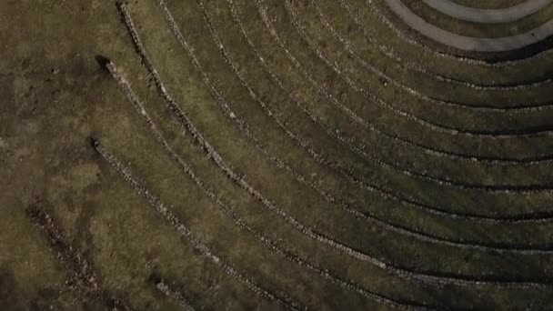 Primavera en el Parque Loshitsa. Vuela la cámara sobre el parque de la ciudad. Un anfiteatro hecho de piedras es visible debajo. — Vídeos de Stock