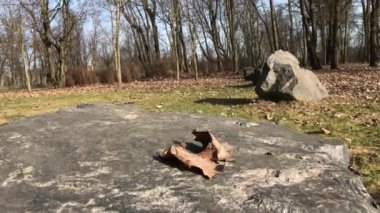 Şehir parkında ilkbahar. Bahçedeki büyük taşlar. Rüzgar geçen yılın yapraklarını uçuruyor..