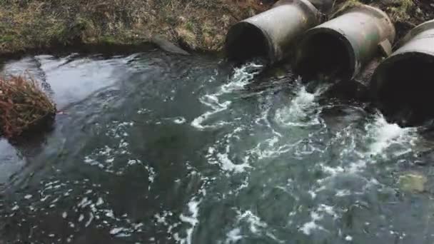Пролетают над бетонными канализациями. потоки воды текут по бетонным трубам. загрязненный водный объект в парке — стоковое видео