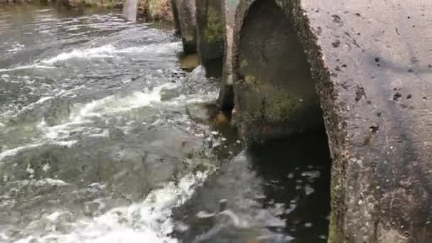 Потоки воды текут по бетонным канализациям. загрязненный водный объект в парке. — стоковое видео