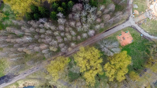 春の都市公園の空中写真 公園の路地と街の郊外の貯水池 — ストック写真