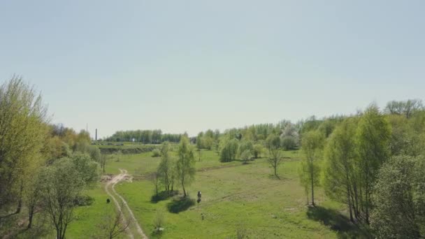 Vlucht over de lenteweide. Hieronder staat een paard te grazen in een groene weide. — Stockvideo