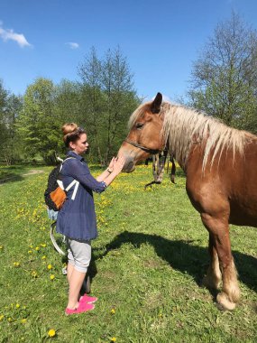 Bir kadın bir atla oynuyor. At bahar çayırında otluyor. Bir atın kafasının yakın plan çekimi..