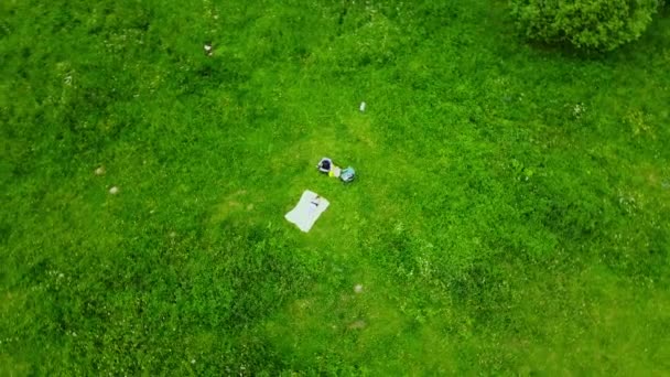La mujer toma el sol en un prado verde. Acostado boca abajo, sobre una alfombra amarilla. Videografía aérea — Vídeo de stock