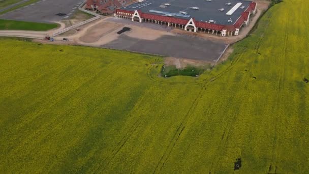 Flight over the fields near the city. A field with blooming yellow flowers. Aerial photography. — Stock Video