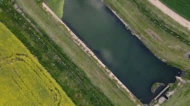 Tarlaların üzerinde uçuyor. Sarı çiçekli bir tarla. Arazinin kenarında bir gölet görülebilir. Hava fotoğrafçılığı.