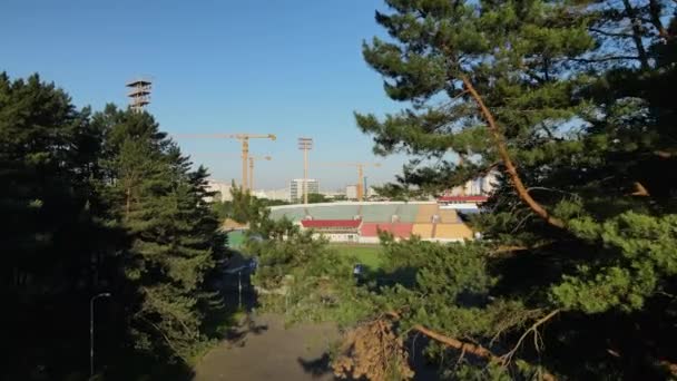 Flight between tree branches towards the stadium. Football stadium in the city park. Aerial photography — Video