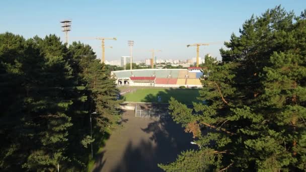 Flyg mellan trädgrenarna mot stadion. Fotbollsstadion i stadsparken. Flygfotografering. — Stockvideo