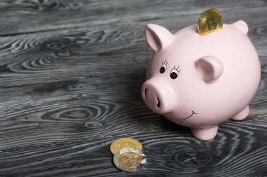 Kripto para birimleri. Yakınlarda bir kumbara var. Çam ağacından yapılmış tahtalarda.