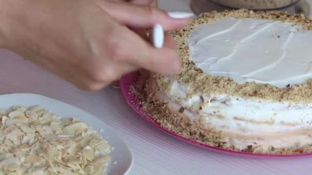 Uma mulher decora um bolo com migalhas de biscoito. Bolo revestido com creme. ingredientes nas proximidades para fazer o bolo. Imagem de close-up. — Vídeo de Stock