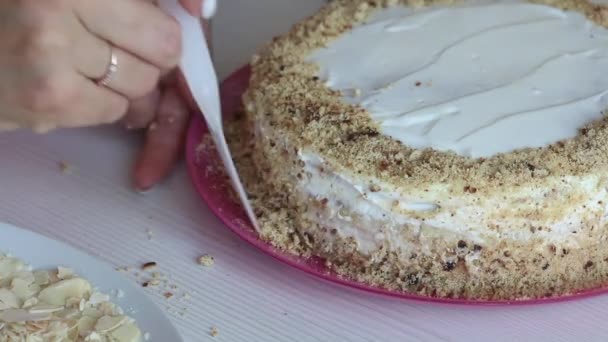 Une femme décore un gâteau avec des miettes de biscuits. Gâteau recouvert de crème. Gros plan. — Video