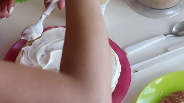 Eine Frau streicht Sahne über die Kuchenschichten, übereinander gestapelt. In der Nähe Zutaten für die Herstellung des Kuchens. Von hinten gefilmt. — Stockvideo