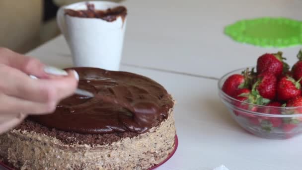 A woman applies chocolate ganache to a sponge cake. Cooking chocolate cake with peanuts and strawberries. Close-up shot — Stock Video