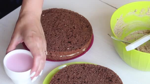 Жінка просочує печиво вершками з полуничним лікером. Приготування шоколадного торта з арахісом і полуницею . — стокове відео