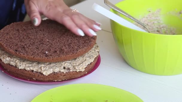 Eine Frau faltet Kekskuchen, die mit Sahne beschmiert sind. Schmiert mit Imprägnierung. Schokoladenkuchen mit Erdnüssen und Erdbeeren kochen. — Stockvideo