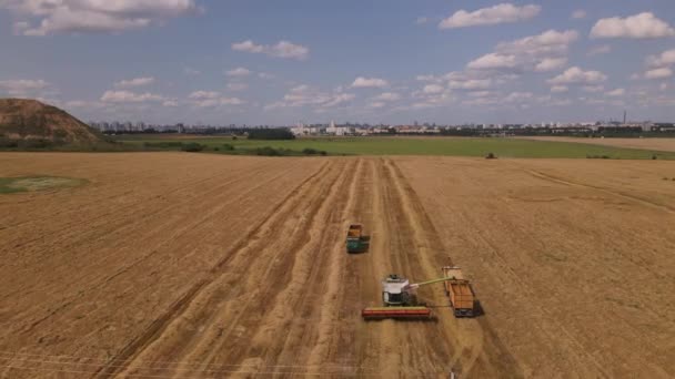 Combiner la moissonneuse-batteuse travaillant sur le terrain. Récolte des grains. Il y a un transfert de grain du bunker de la moissonneuse-batteuse au camion. La ville est visible à l'horizon. Photographie aérienne. — Video