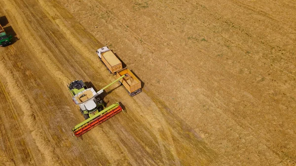 Kombinera Skördare Fältet Spannmålsskörd Överföring Spannmål Från Bunkern Kombinera Till — Stockfoto