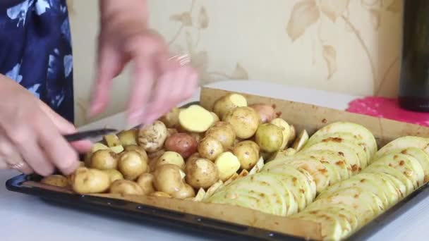 Kadın patates ve kabak doğruyor. Fırın tepsisine yerleştirilmiş. Sebze pişirmek. Yakın çekim.. — Stok video