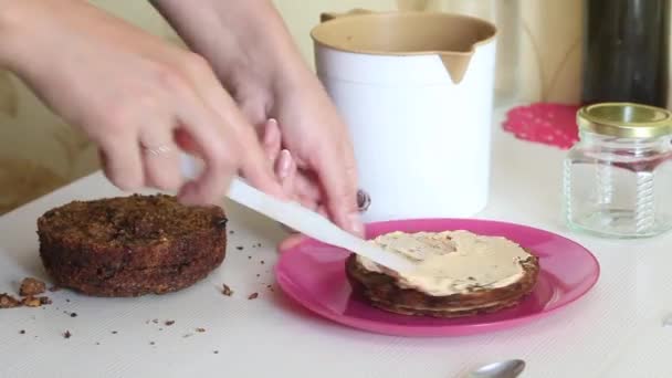 Cooking carrot cake. A woman spreads cream on the cake layers. Close-up shot — Video Stock