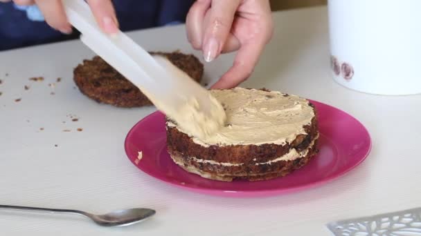 Uma mulher espalha creme nas camadas de bolo. A cozinhar bolo de cenoura. Imagem de close-up — Vídeo de Stock