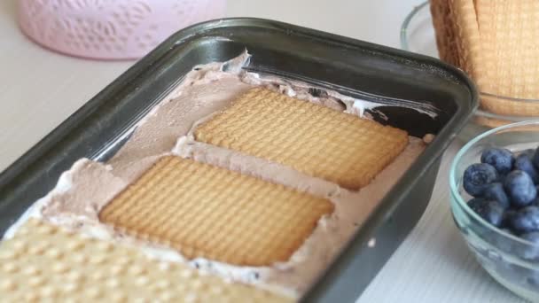 Ice cream with cream, biscuits and bread. In container before freezing. Close-up shot. — Stockvideo