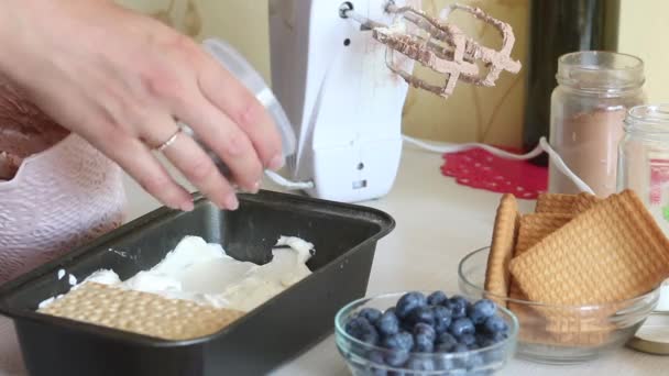 The woman adds chocolate drops to the cream. Makes ice cream from cream, biscuits and crispbread. Other ingredients are spread out on the table nearby. Close-up shot. — Stockvideo