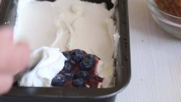 The woman lays layers of cream and blueberries. Makes ice cream from cream, biscuits and crispbread. Other ingredients are spread out on the table nearby. Close-up shot. — Video Stock