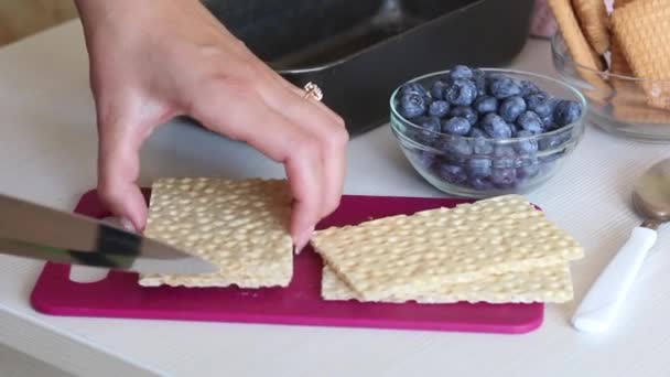 Die Frau schneidet die Brote und legt sie in einen Behälter. Macht Eis aus Sahne, Keksen und Knäckebrot. Andere Zutaten liegen auf dem Tisch in der Nähe. Nahaufnahme. — Stockvideo