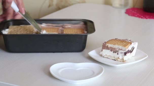 A woman demonstrates homemade ice cream. He takes it out of the container and puts it on a saucer. Ice cream with cream, biscuits and bread. Close-up shot. — Stok video