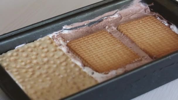 Es krim buatan sendiri dalam kontainer. Dari krim, biskuit dan roti. Memperbesar di atas kamera. Tembakan jarak dekat. — Stok Video