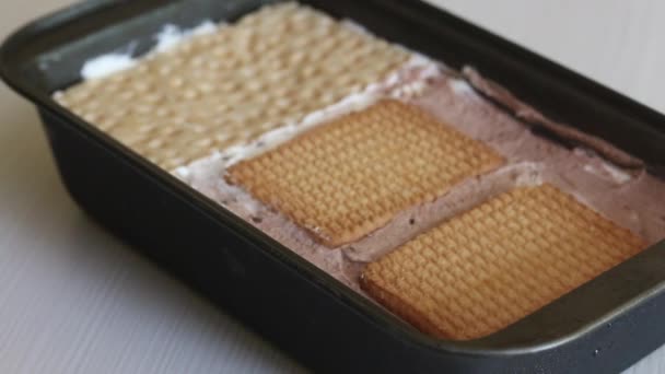 把自制的冰淇淋装在一个容器里.从奶油，饼干和面包。特写镜头. — 图库视频影像