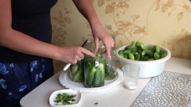 Bir kadın salatalık kavanozuna salatalık koyar. Yakınlarda bir havuzda salatalık var. Hasat koruma.