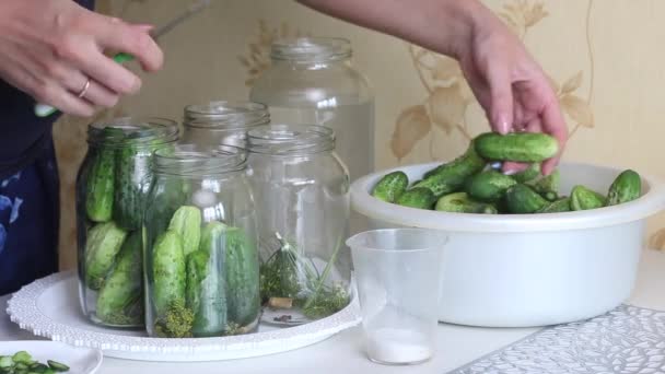 Une femme met des concombres dans un bocal pour le décapage. Conservation des récoltes. — Video